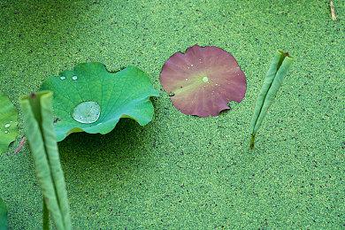 中国首款量子计算机操作系统本源司南 PilotOS正式上线